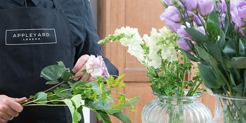 cutflowercare-banner