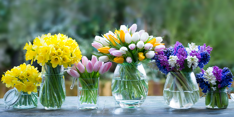 top-spring-flowers